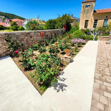 Apartmán Varko House